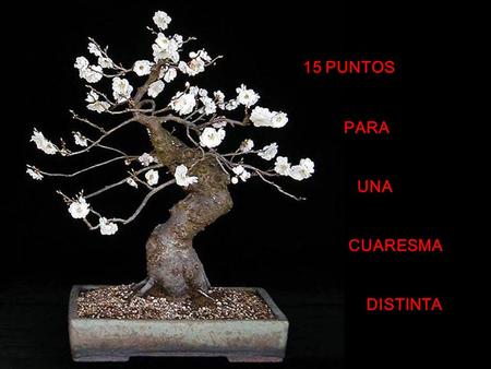 15 PUNTOS PARA UNA CUARESMA DISTINTA 1) DESPRÉNDETE de tantas palabras huecas y sin sentido: Llénate de la Palabra de DIOS.