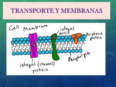 TRANSPORTE Y MEMBRANAS