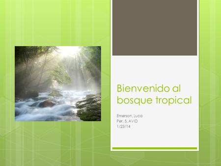 Bienvenido al bosque tropical Emerson, Luca Per. 5, AVID 1/23/14.
