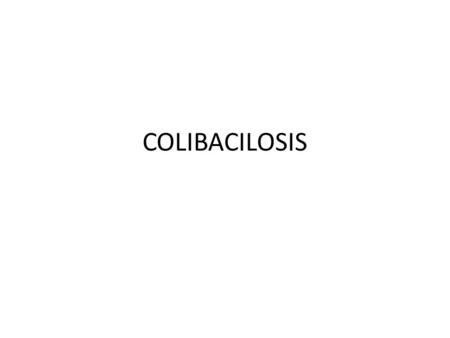 COLIBACILOSIS.