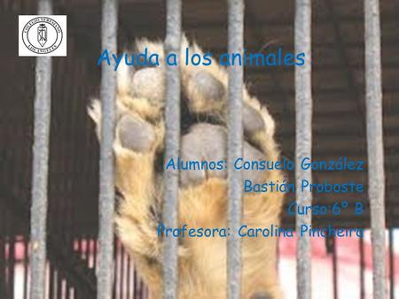 Ayuda a los animales Alumnos: Consuelo González Bastián Proboste Curso:6º B Profesora: Carolina Pincheira.