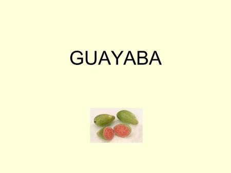 GUAYABA. GENERALIDADES Cultivo originario de América Tropical y actualmente se encuentra muy difundido en todo el mudo. La forma del fruto depende de.
