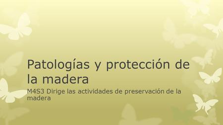 Patologías y protección de la madera