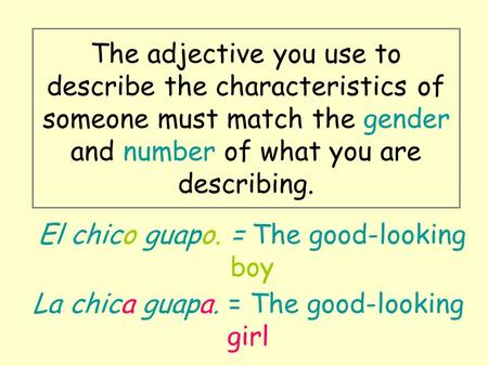 The adjective you use to describe the characteristics of someone must match the gender and number of what you are describing. El chico guapo. = The good-looking.