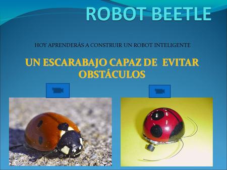 UN ESCARABAJO CAPAZ DE EVITAR OBSTÁCULOS HOY APRENDERÁS A CONSTRUIR UN ROBOT INTELIGENTE.