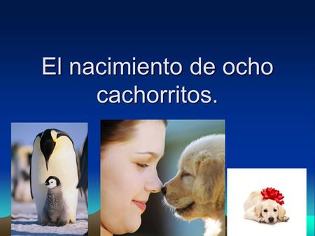 El nacimiento de ocho cachorritos.. El nacimiento de ocho cachorritos Ocurrió el 12 de octubre 13:45 a 22:45 que una perra llamada Senda tuvo ocho cachorros.