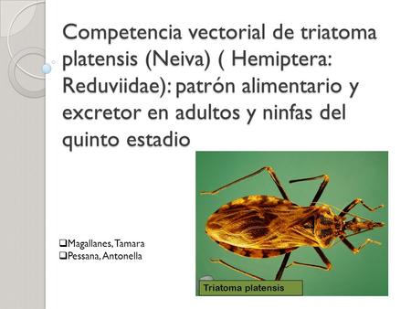 Competencia vectorial de triatoma platensis (Neiva) ( Hemiptera: Reduviidae): patrón alimentario y excretor en adultos y ninfas del quinto estadio Magallanes,
