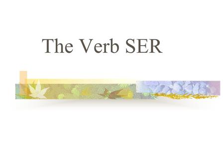 The Verb SER SER The verb SER means “to be” In Spanish, a verb has different forms to tell you who the subject is. Changing a verb form so that it matches.