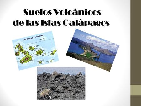 Suelos Volcánicos de las Islas Galàpagos
