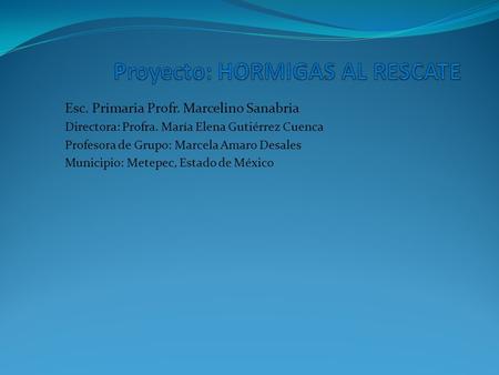 Proyecto: HORMIGAS AL RESCATE