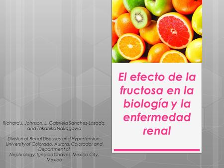 El efecto de la fructosa en la biología y la enfermedad renal