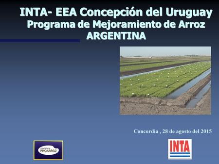 INTA- EEA Concepción del Uruguay Programa de Mejoramiento de Arroz ARGENTINA Concordia, 28 de agosto del 2015.