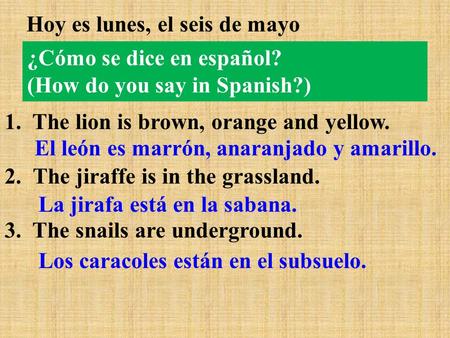 ¿Cómo se dice en español? (How do you say in Spanish?) Hoy es lunes, el seis de mayo 1. The lion is brown, orange and yellow. 2.The jiraffe is in the grassland.