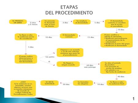 ETAPAS DEL PROCEDIMIENTO