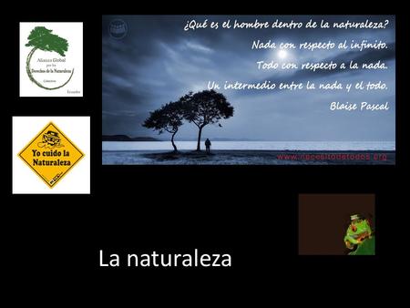 La naturaleza. El águila The eagle on the cactus was the symbol for the founding of the Aztec capital of Tenochtitlán.