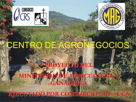 CENTRO DE AGRONEGOCIOS