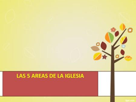 LAS 5 AREAS DE LA IGLESIA.