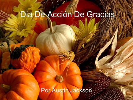 Dia De Acción De Gracias Por Austin Jackson. Nosotros fuimos al San Antonio el sábado de dos semana pasada.