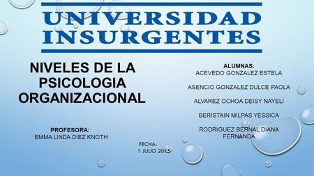NIVELES DE LA PSICOLOGIA ORGANIZACIONAL