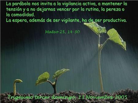 La parábola nos invita a la vigilancia activa, a mantener la tensión y a no dejarnos vencer por la rutina, la pereza o la comodidad. La espera, además.