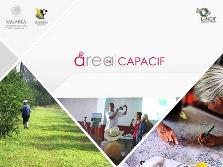 Análisis antrópico se realizara por región epidemiológica.