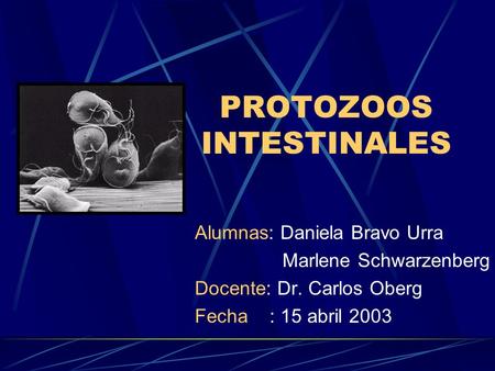 PROTOZOOS INTESTINALES