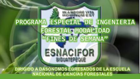 ETAPA DE NIVELACIÓN  De acuerdo al año de egreso y el respectivo plan de estudios.  14 planes de estudio de Dasonomía, desde 1974 hasta 2000 (vigente).