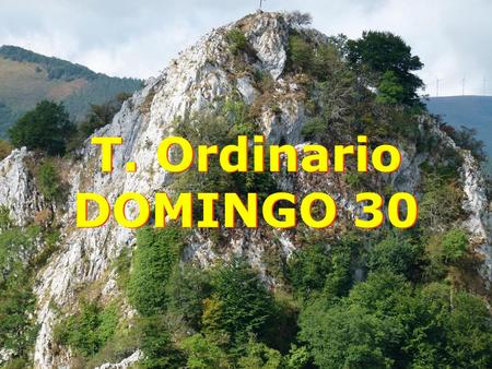 T. Ordinario DOMINGO 30.