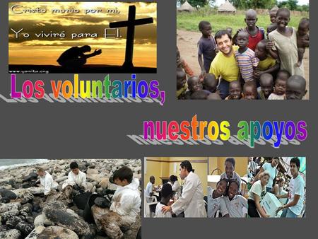 Los grupos de voluntarios de la Parroquia lo forman quienes, delegados por la comunidad parroquial, se dedican a los demás.