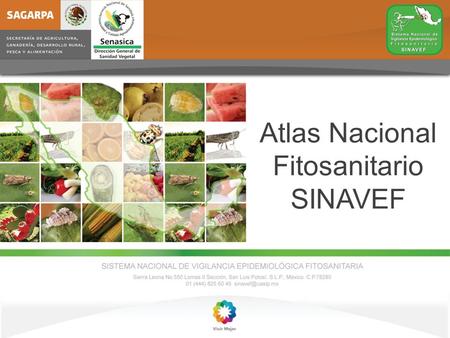 Atlas Nacional Fitosanitario SINAVEF