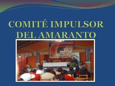 2004 - 2005 INSTITUCIONES COMO :  PREFECTURA  UNIVERSIDAD  SNV  PROINPA  PROAGRO  NORSUR  CIOECCH.