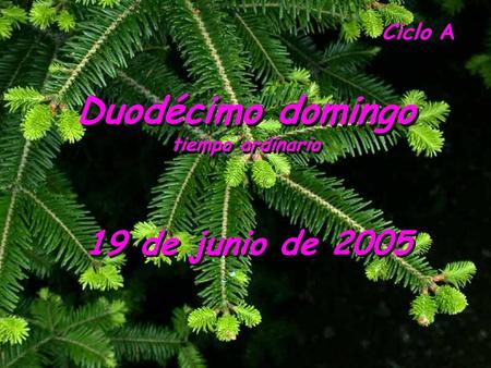 Ciclo A Duodécimo domingo tiempo ordinario Duodécimo domingo tiempo ordinario 19 de junio de 2005.