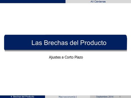 Las Brechas del Producto