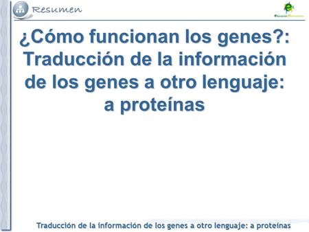 Traducción de la información de los genes a otro lenguaje: a proteínas ¿Cómo funcionan los genes?: Traducción de la información de los genes a otro lenguaje: