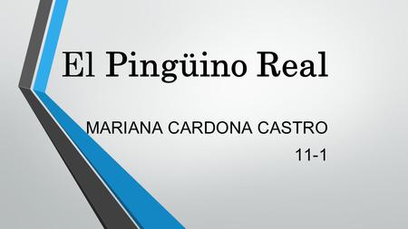 MARIANA CARDONA CASTRO 11-1