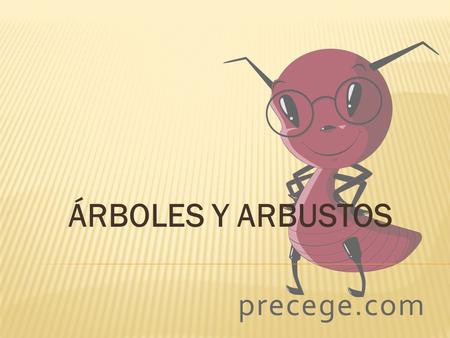 ÁRBOLES Y ARBUSTOS.