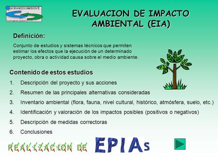 EVALUACION DE IMPACTO AMBIENTAL (EIA)