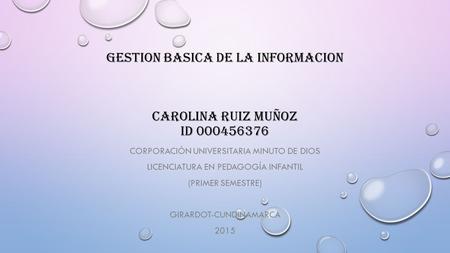 GESTION BASICA DE LA INFORMACION CAROLINA RUIZ MUÑOZ id