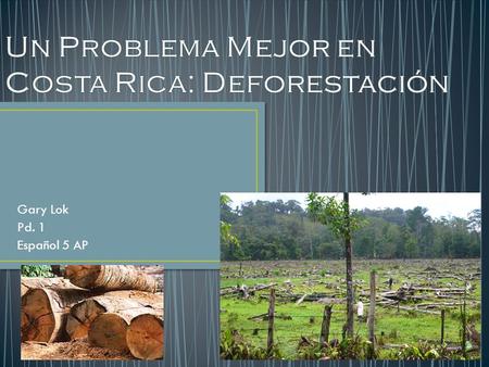 Gary Lok Pd. 1 Español 5 AP. Deforestación es un proceso en que los bosques y los hábitats naturales se destruyen por otros usos como la agricultura o.