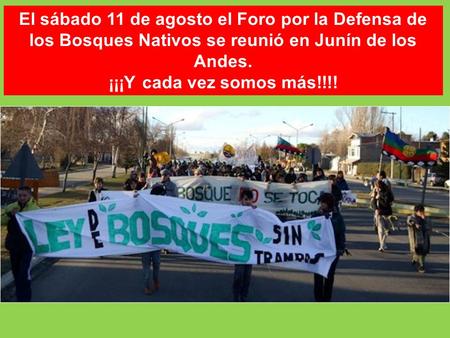 El sábado 11 de agosto el Foro por la Defensa de los Bosques Nativos se reunió en Junín de los Andes. ¡¡¡Y cada vez somos más!!!!