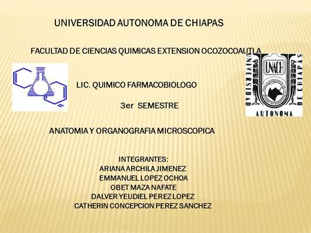 UNIVERSIDAD AUTONOMA DE CHIAPAS