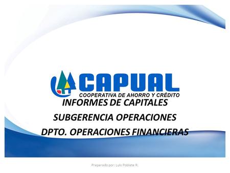 INFORMES DE CAPITALES SUBGERENCIA OPERACIONES DPTO. OPERACIONES FINANCIERAS Preparado por: Luis Poblete R.