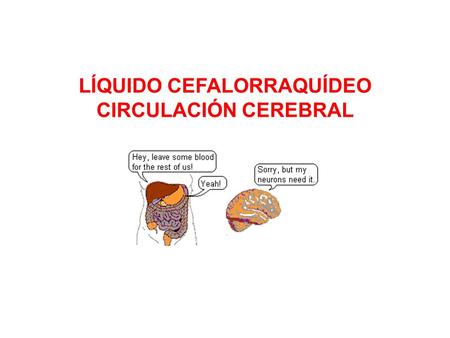 LÍQUIDO CEFALORRAQUÍDEO
