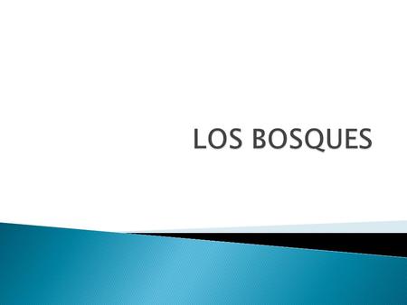 LOS BOSQUES.