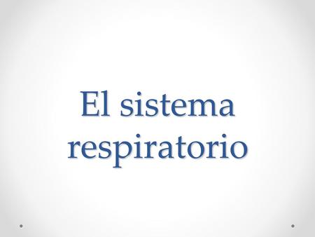 El sistema respiratorio