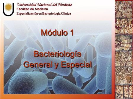 Módulo 1 Bacteriología General y Especial