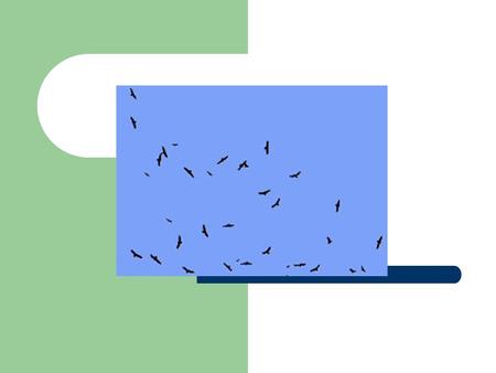 La temperatura La temperatura en conjunto disminuye desde el Ecuador hacia los Polos. En detalle, la temperatura varía irregularmente en función de los.