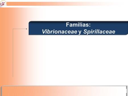Vibrionaceae y Spirillaceae