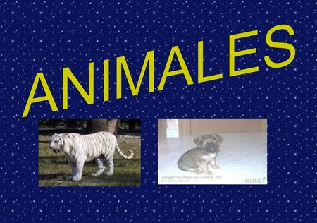 ANIMALES.