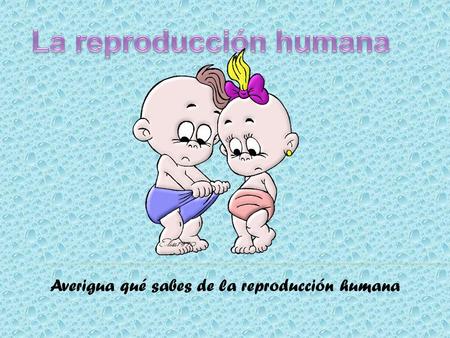 La reproducción humana